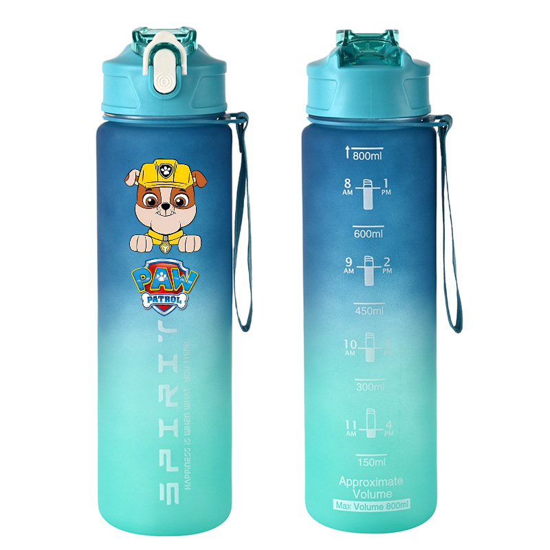 800ml PAW Patrol 스포츠 물병 애니메이션  - Kids Outdoor Gym 리뷰 및 가격