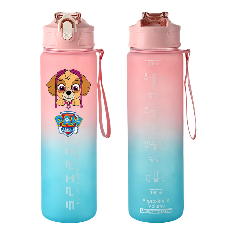 800ml PAW Patrol 스포츠 물병 애니메이션  - Kids Outdoor Gym 리뷰 및 가격