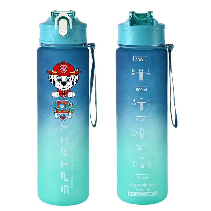 800ml PAW Patrol 스포츠 물병 애니메이션  - Kids Outdoor Gym 리뷰 및 가격